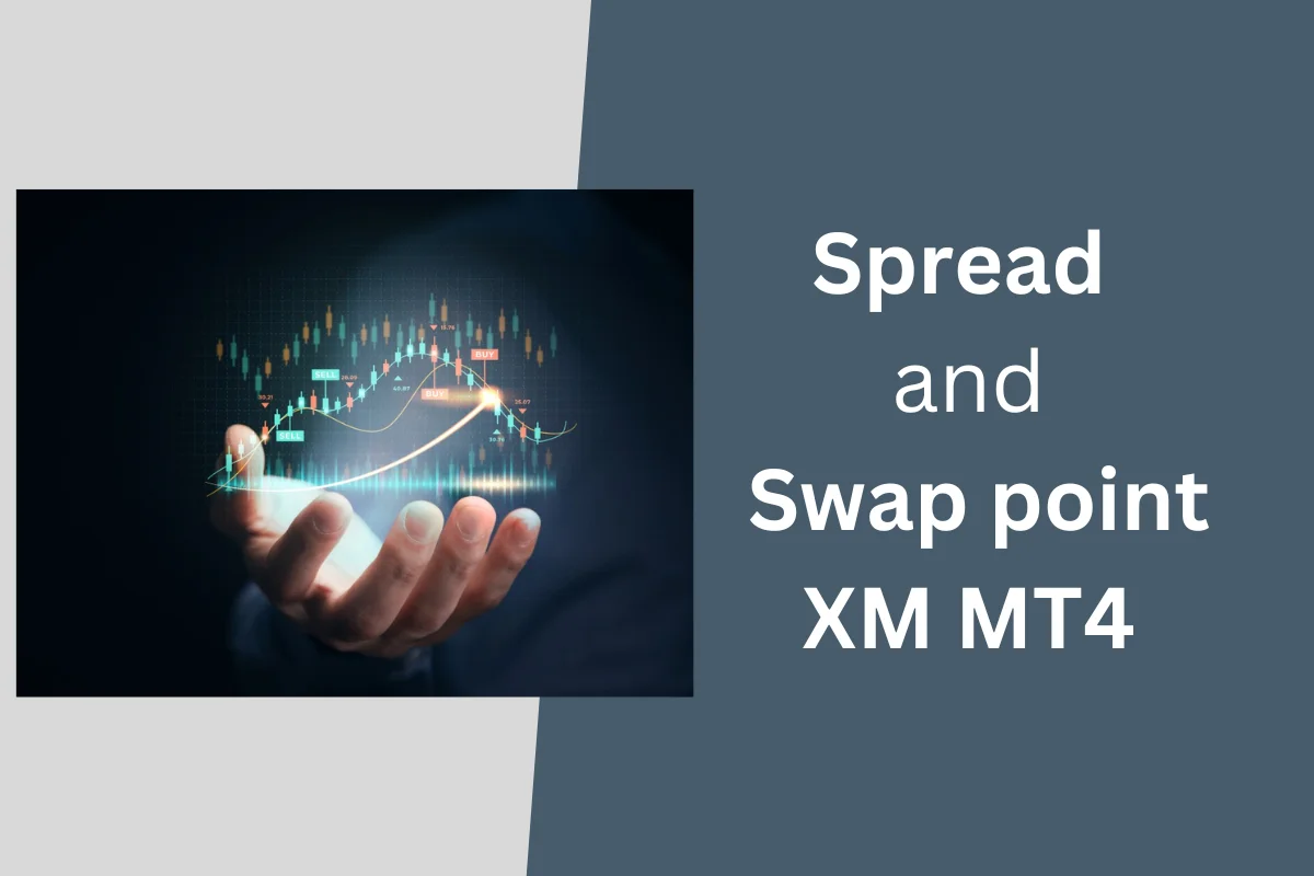 Guide to Confirming Spread and Swap Point XM MT4